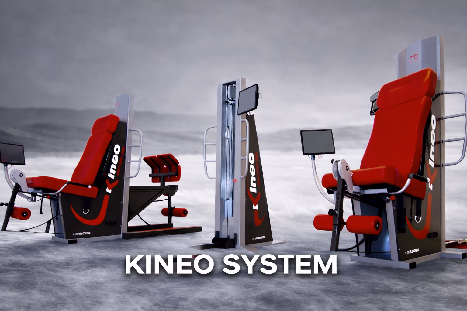Kineo System